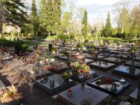 Ostfriedhof
