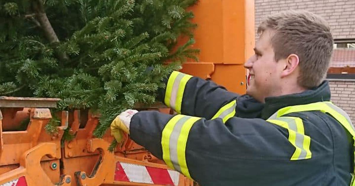 Abholung der Weihnachtsbäume
