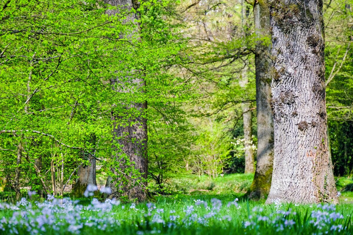 Ende der Osterferien (NRW)